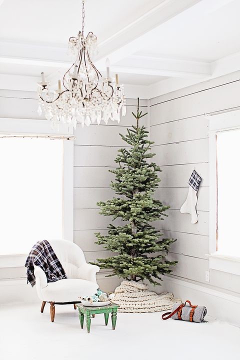 dísz nélküli karácsonyfa